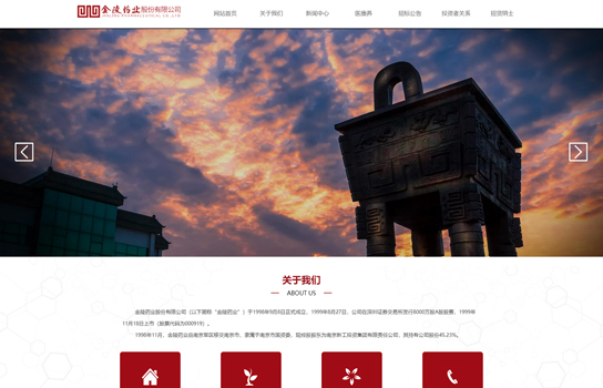 金陵药业_南京网站建设,南京网站开发,南京网站设计,南京网站制作,南京南京网络